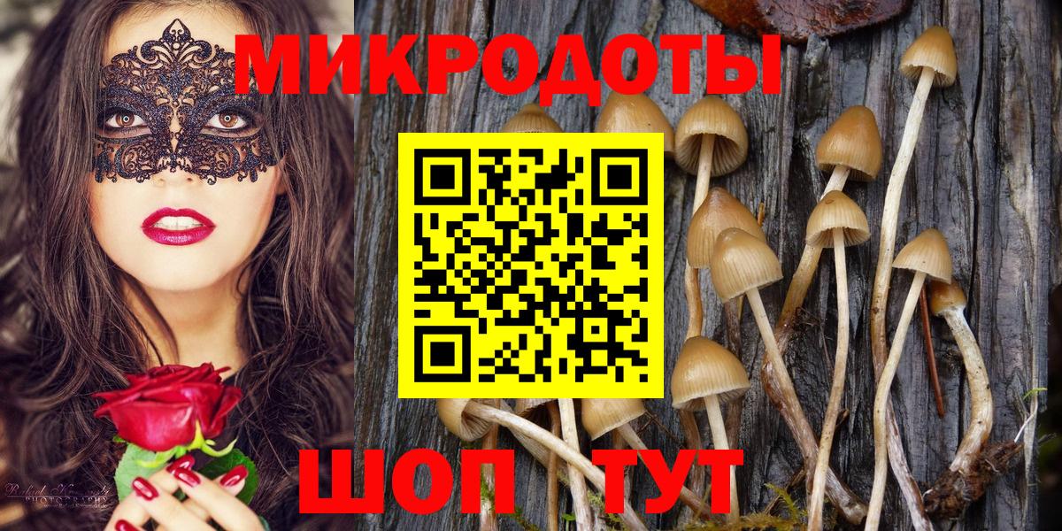 Большой Камень  Галлюциногенные грибы GOLDEN TEACHER  Галлюциногенные грибы мухоморы  Вход с VPN 